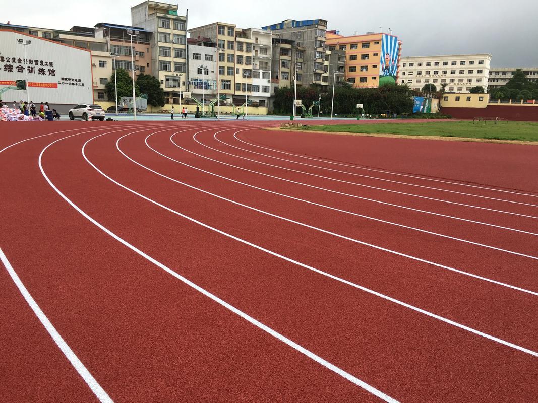 阿坝藏族羌族自治州EPDM颗粒塑胶跑道材料 - 排名